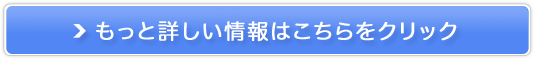 yV[Y̔TCg